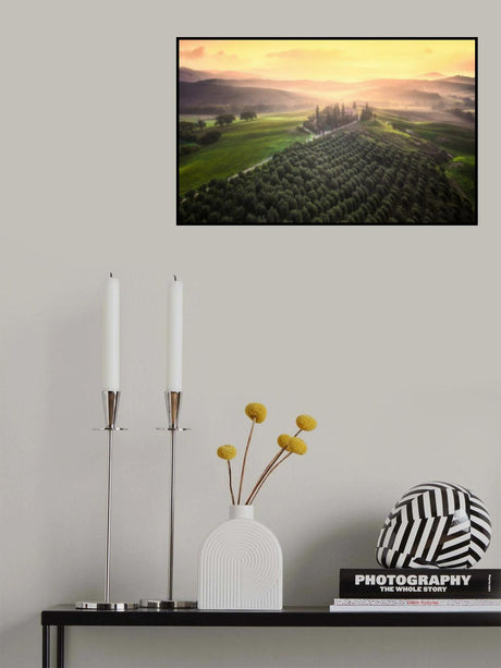Tuscany Morning Poster och Canvastavla