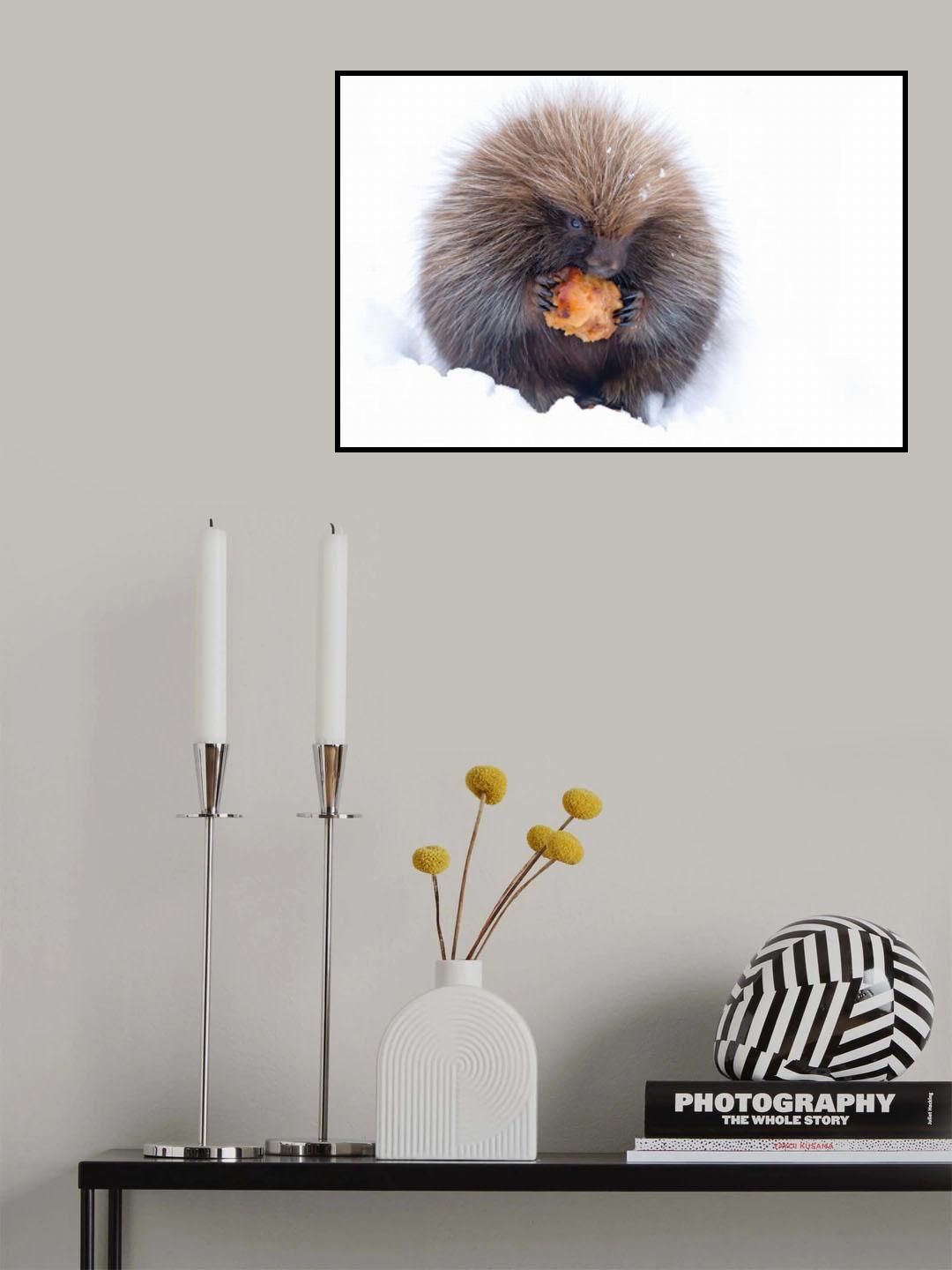 Porcupine with Apple Poster och Canvastavla