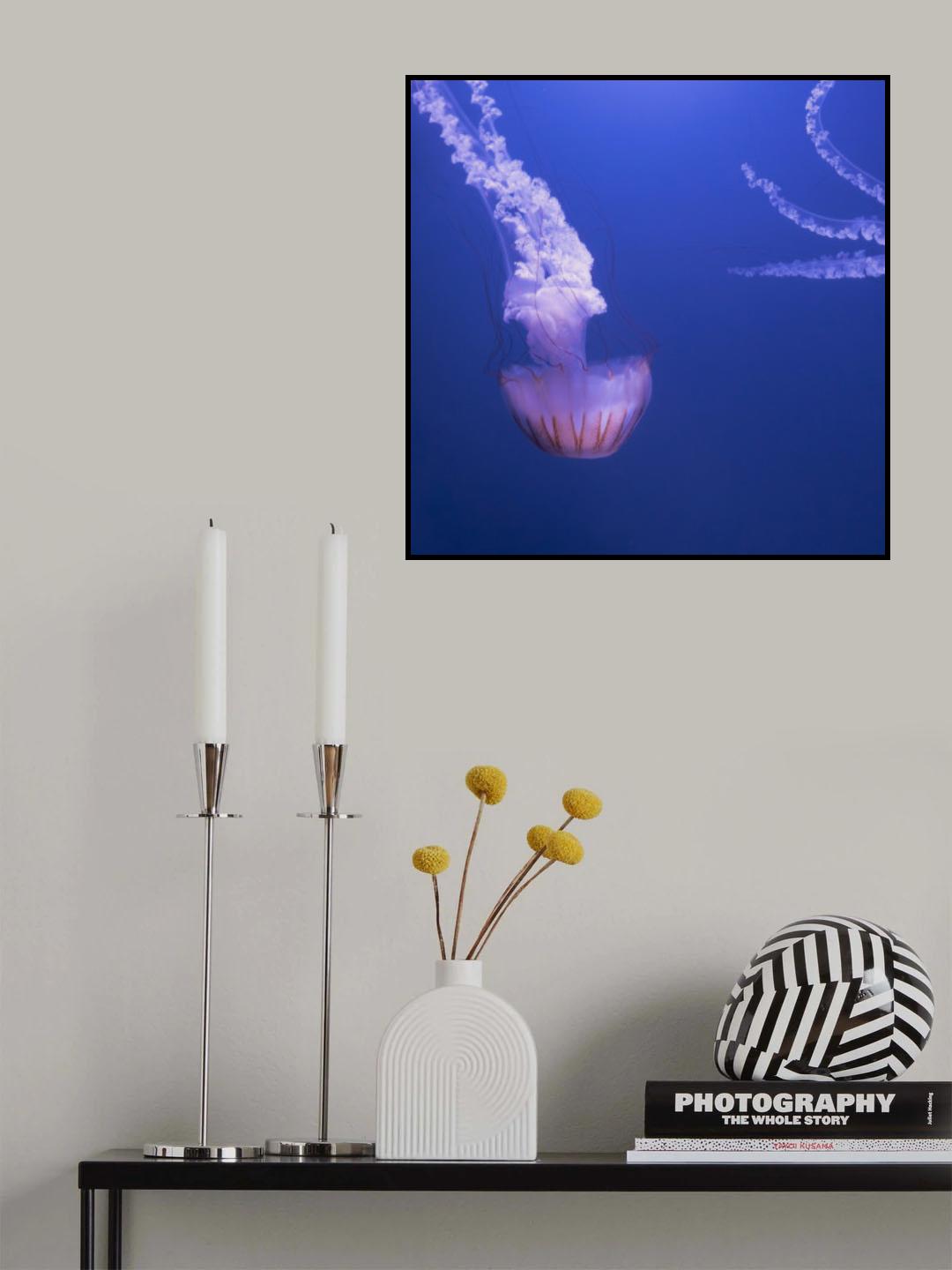 Deep sea wonders Poster och Canvastavla