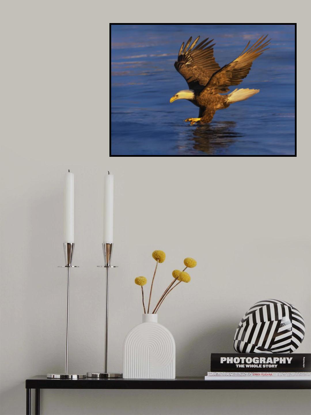 Targeting Poster och Canvastavla