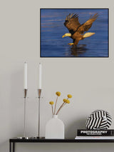 Targeting Poster och Canvastavla
