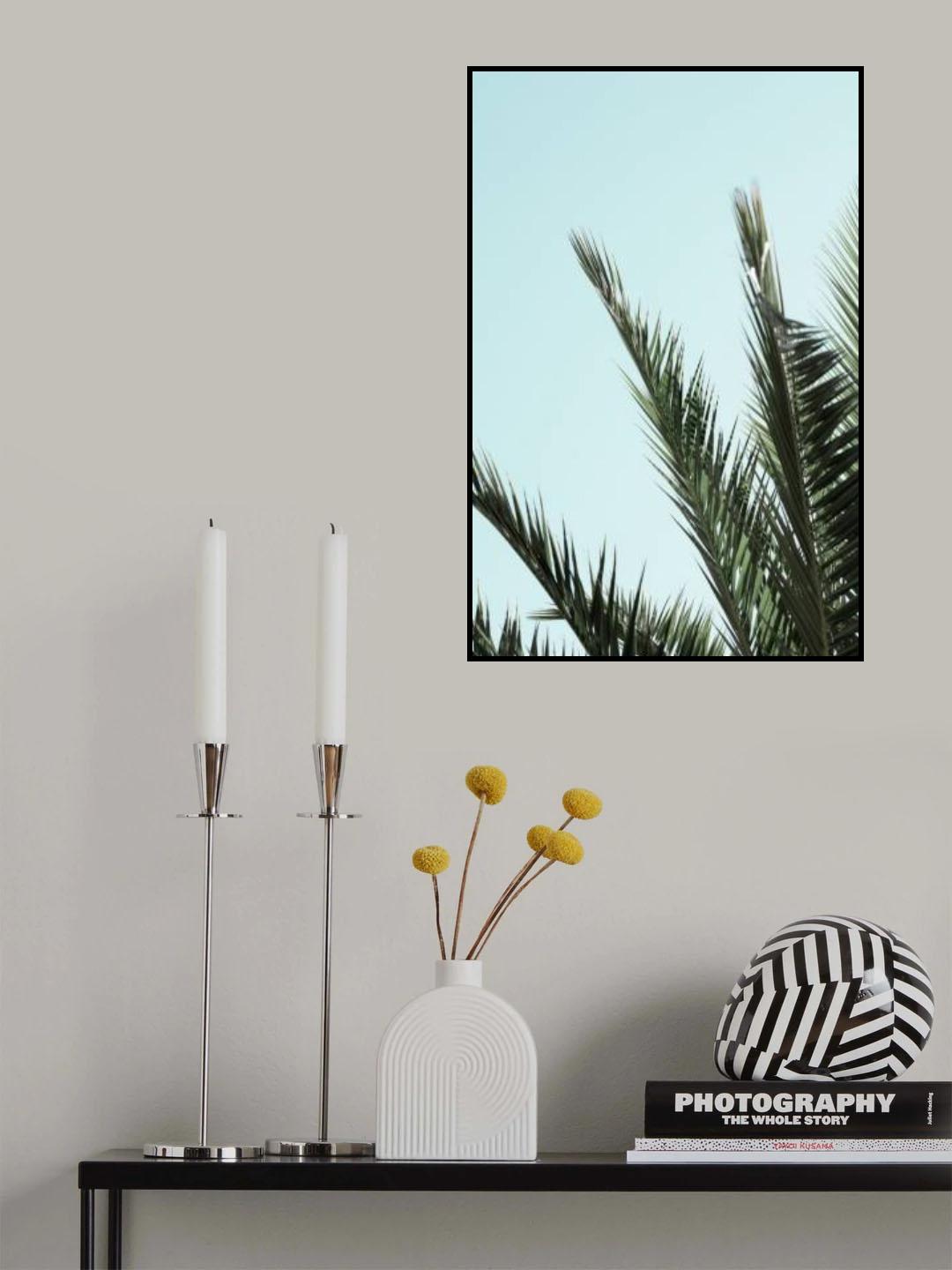 Palm leaves and sky_2 Poster och Canvastavla
