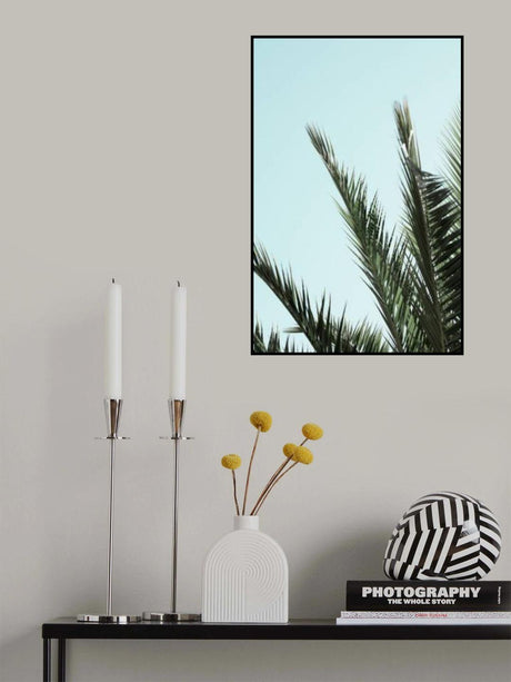 Palm leaves and sky_2 Poster och Canvastavla