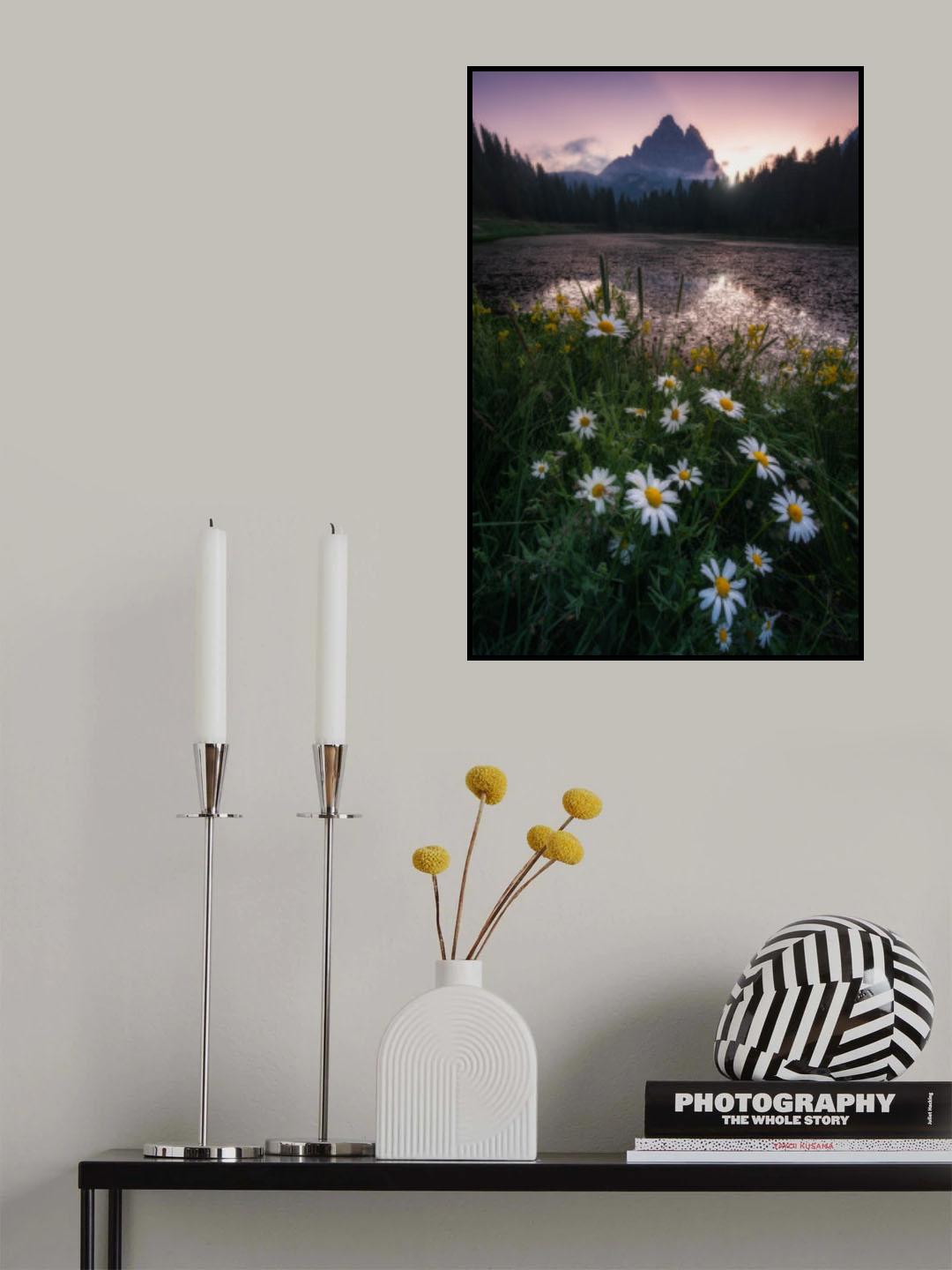 Touch of spring Poster och Canvastavla