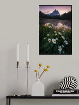 Touch of spring Poster och Canvastavla