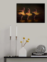 The Rhythm Of Youth Poster och Canvastavla