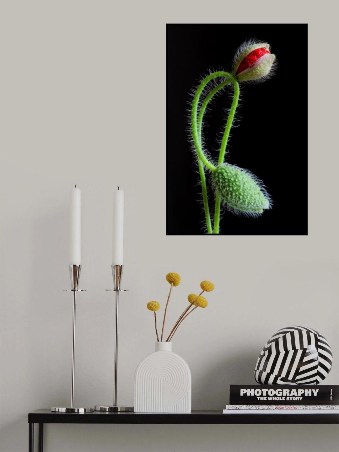 Interlaced Poster och Canvastavla