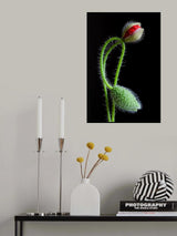 Interlaced Poster och Canvastavla