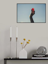 red flower and blue sky Poster och Canvastavla
