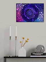 Bubbles Poster och Canvastavla