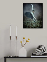 Ballerina Poster och Canvastavla