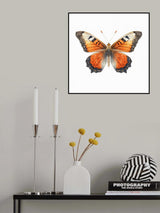 Butterfly 1 Poster och Canvastavla