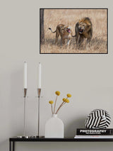 Common Thoughts Poster och Canvastavla