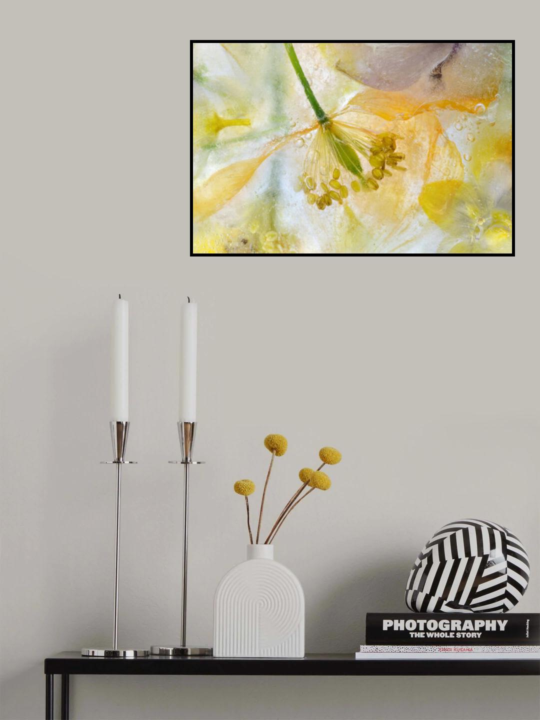 Papaver Ice Poster och Canvastavla
