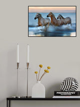 Slow motion horses Poster och Canvastavla