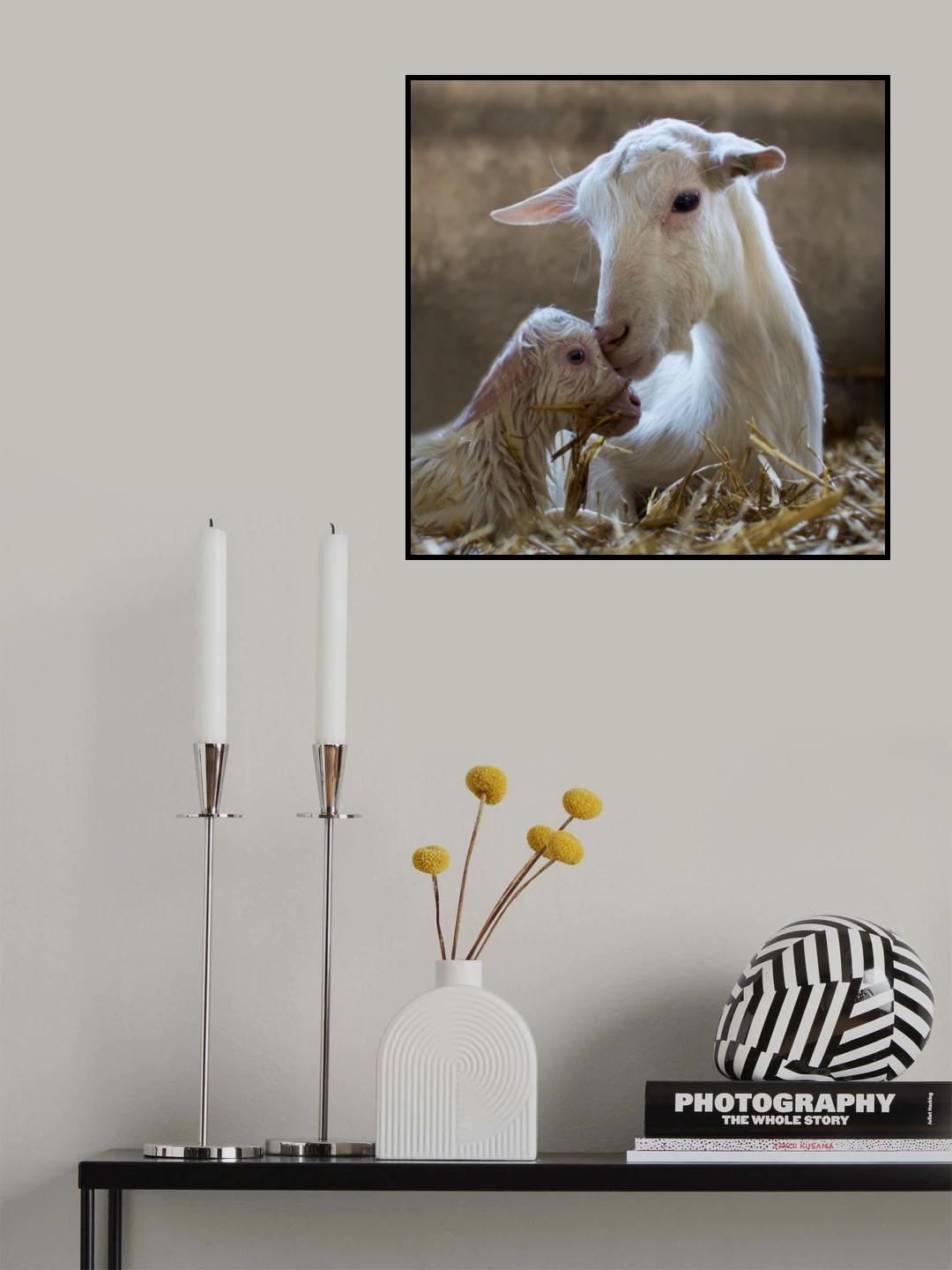 Hi mummy Poster och Canvastavla