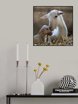 Hi mummy Poster och Canvastavla