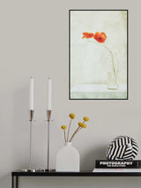 Two Poppies in a Bottle Poster och Canvastavla