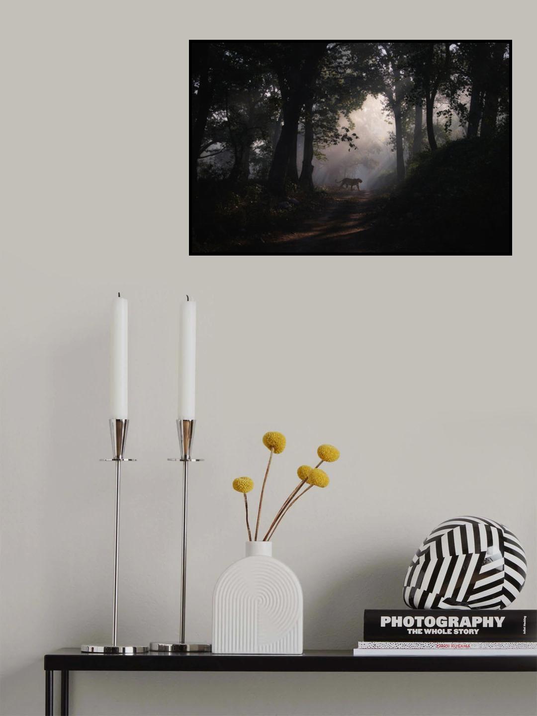 dark moods Poster och Canvastavla