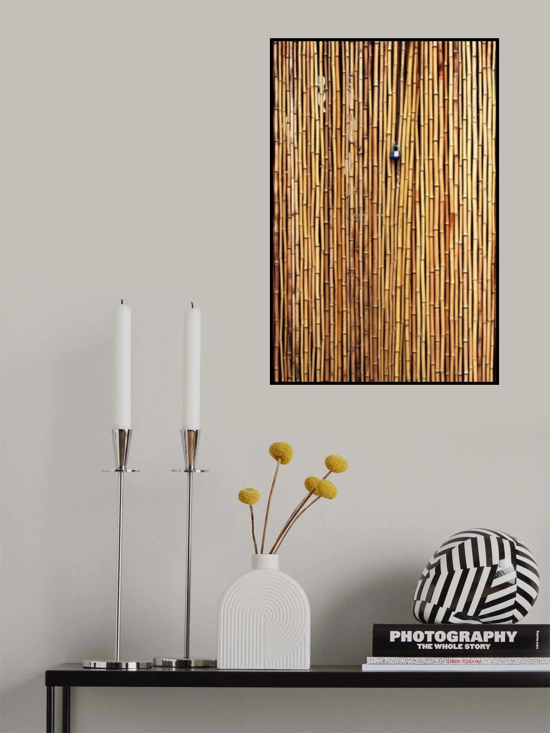 The locked door Poster och Canvastavla