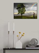 Point of View Poster och Canvastavla