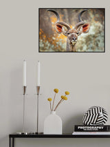 Greater Kudu Poster och Canvastavla