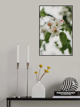 Spring Series - Apple Blossoms in the Rain 11/12 Poster och Canvastavla
