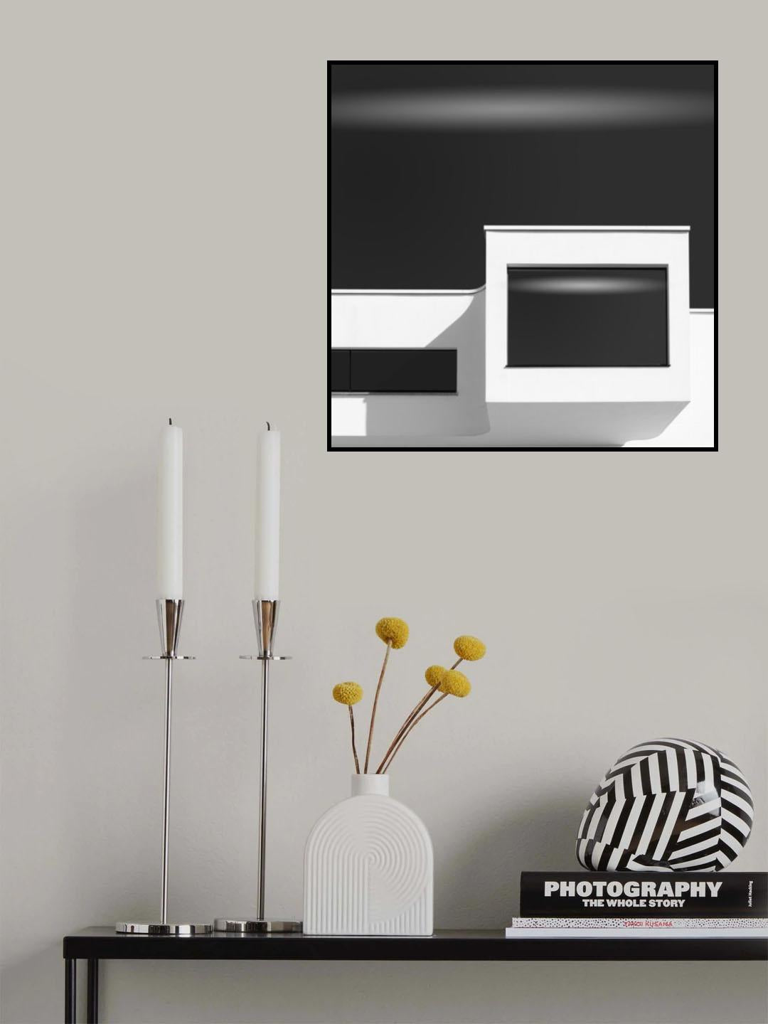 Mimetism Poster och Canvastavla