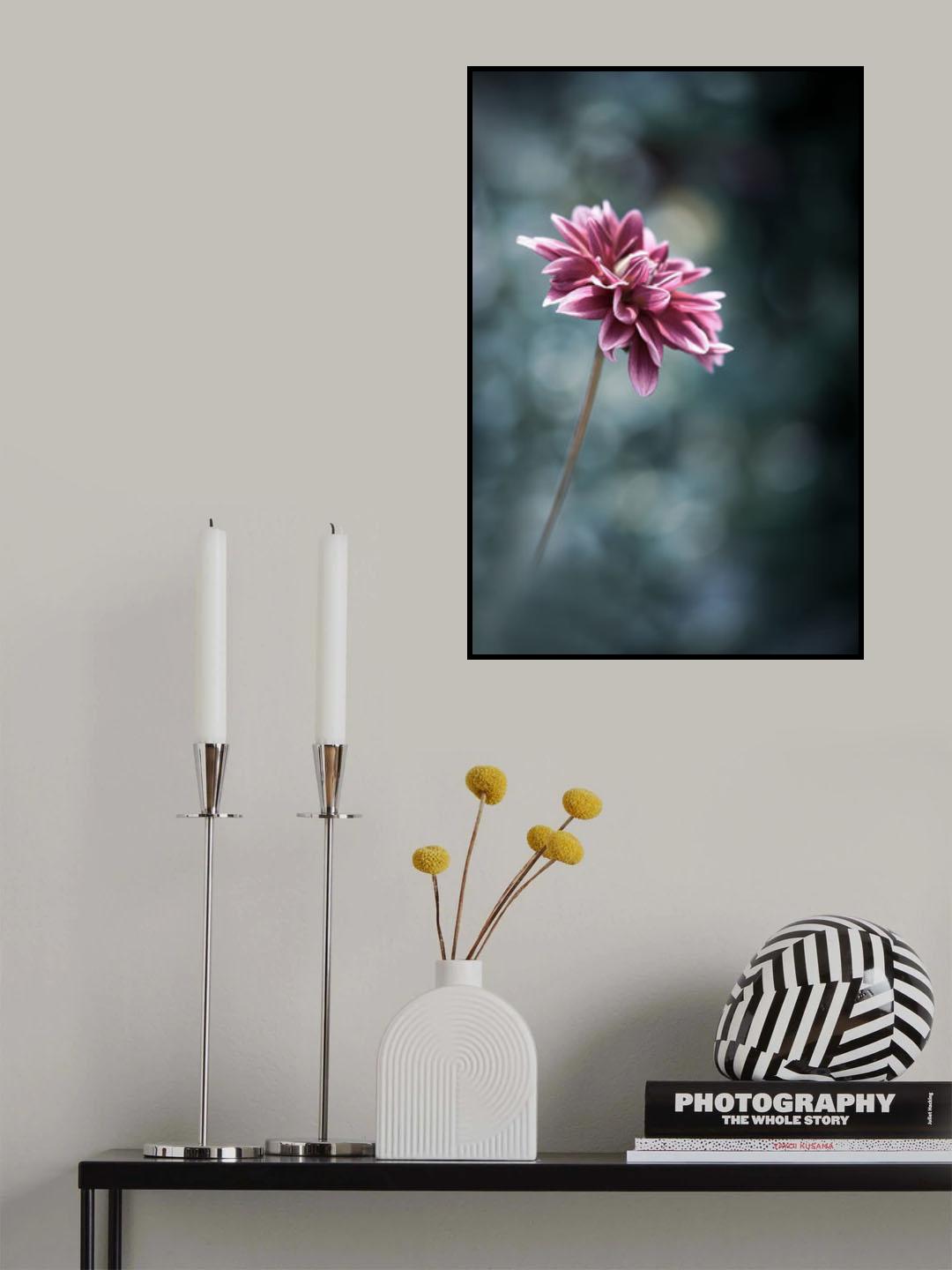 Milady Violet Poster och Canvastavla