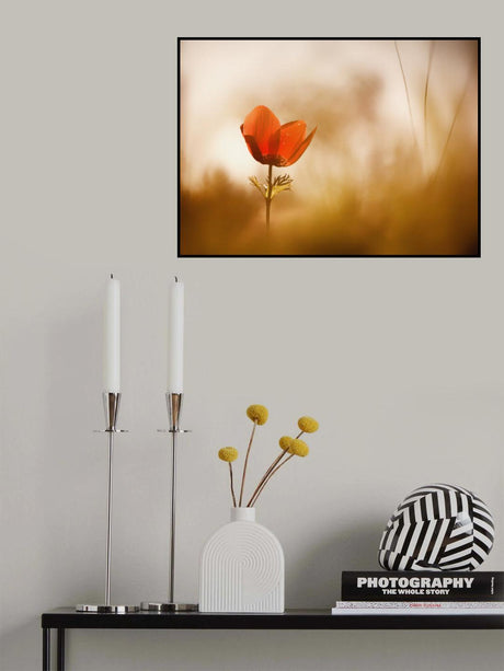Poster och Canvastavla