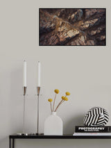 Wilderness exploration Poster och Canvastavla