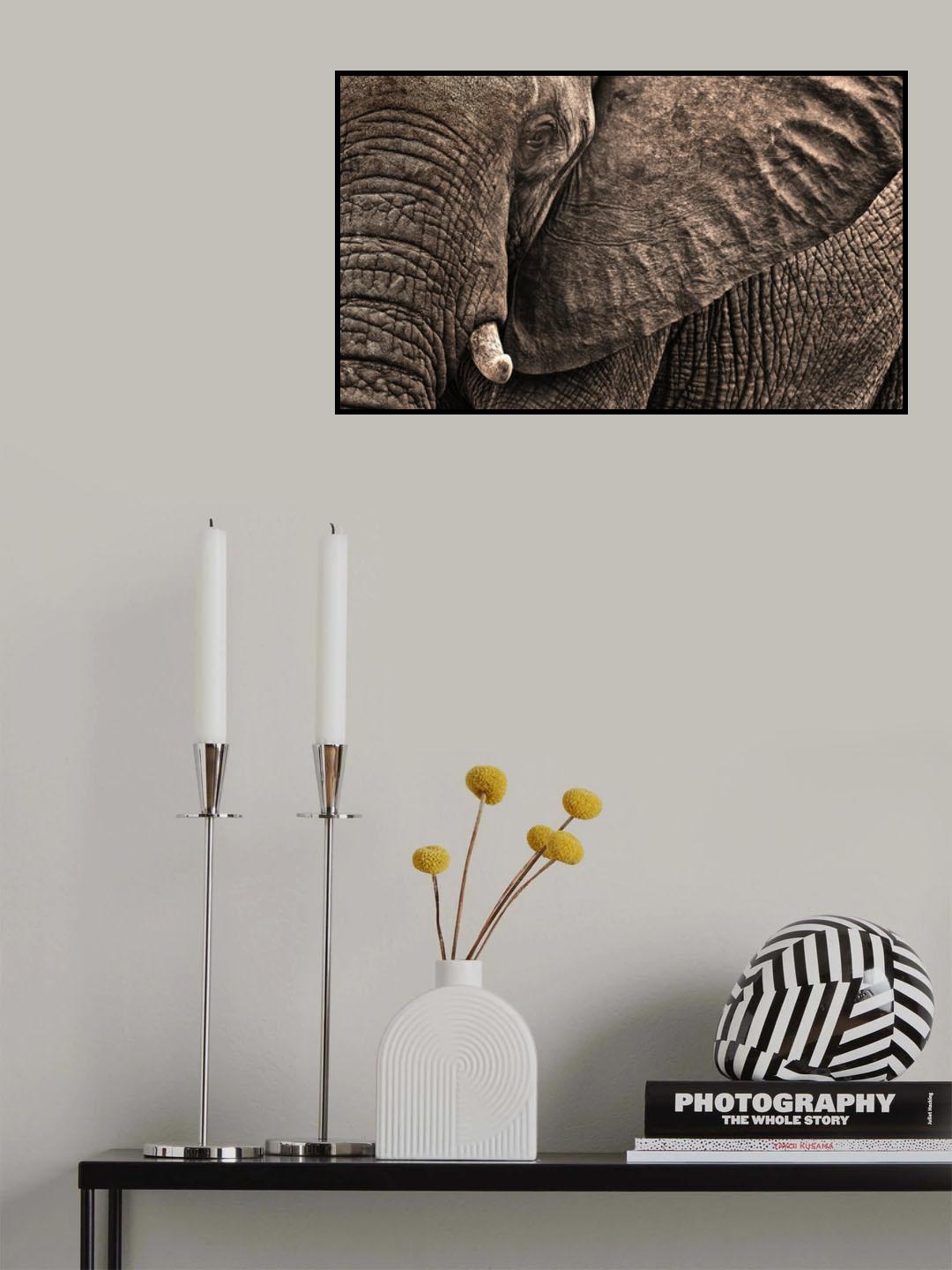 Wrinkles Poster och Canvastavla
