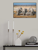 ThreeGuys Poster och Canvastavla