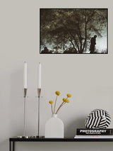 Poster och Canvastavla