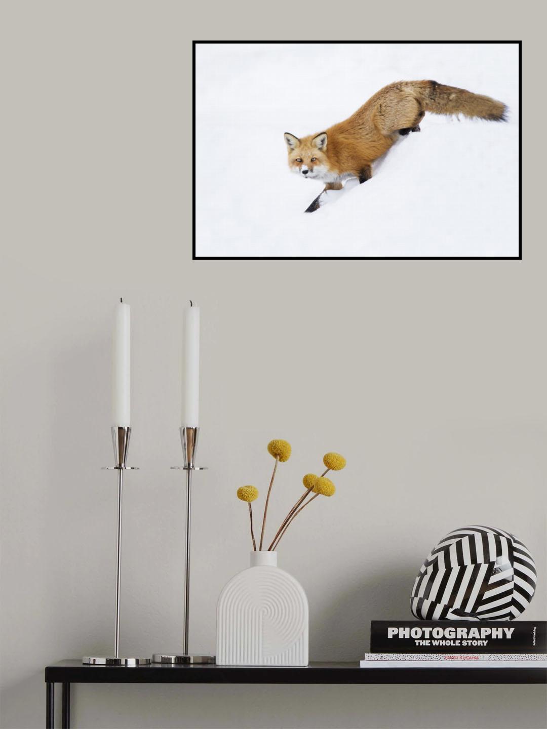 Mr Sly Poster och Canvastavla