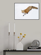Mr Sly Poster och Canvastavla