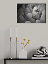 girl Poster och Canvastavla