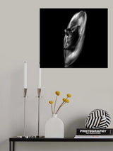 Poster och Canvastavla