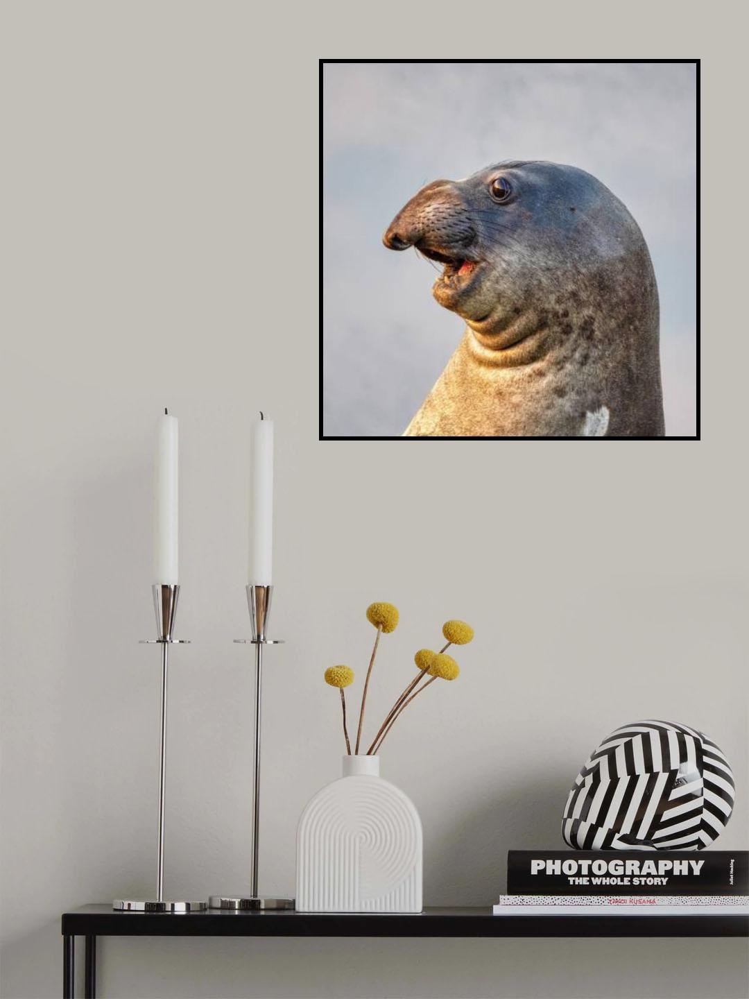 The Handsome Guy Poster och Canvastavla