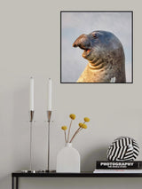 The Handsome Guy Poster och Canvastavla