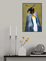 King penguin Poster och Canvastavla