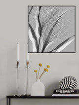 Simply grass Poster och Canvastavla