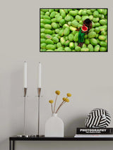 into the green Poster och Canvastavla