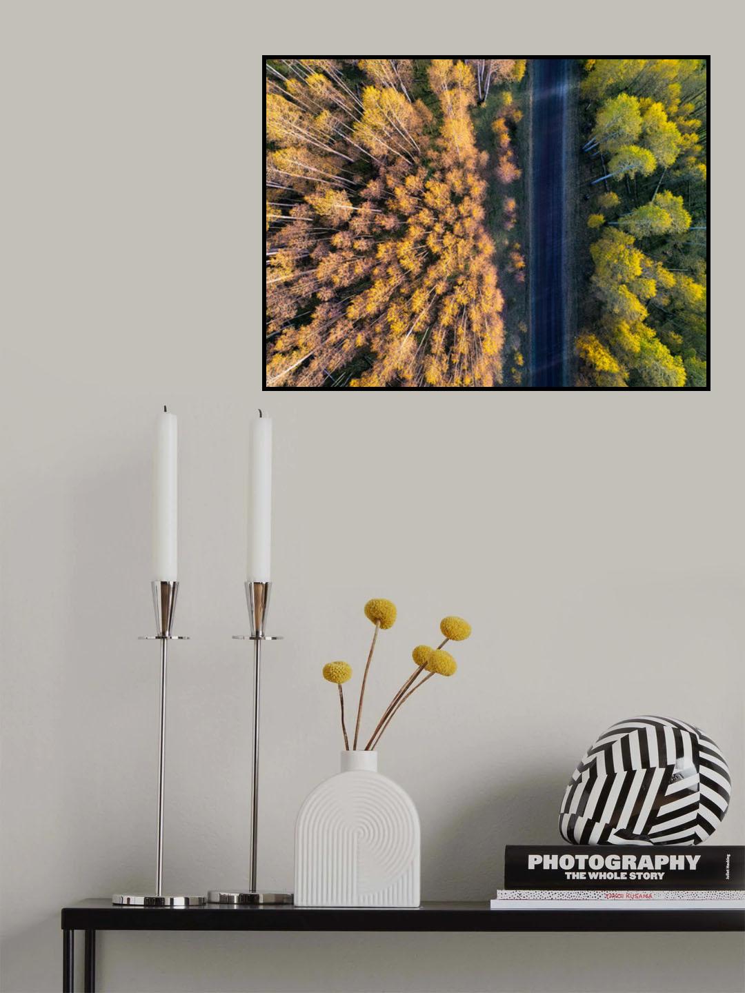 Divide Poster och Canvastavla