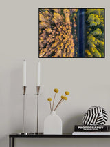 Divide Poster och Canvastavla