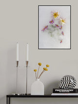 Varied Flowers Poster och Canvastavla