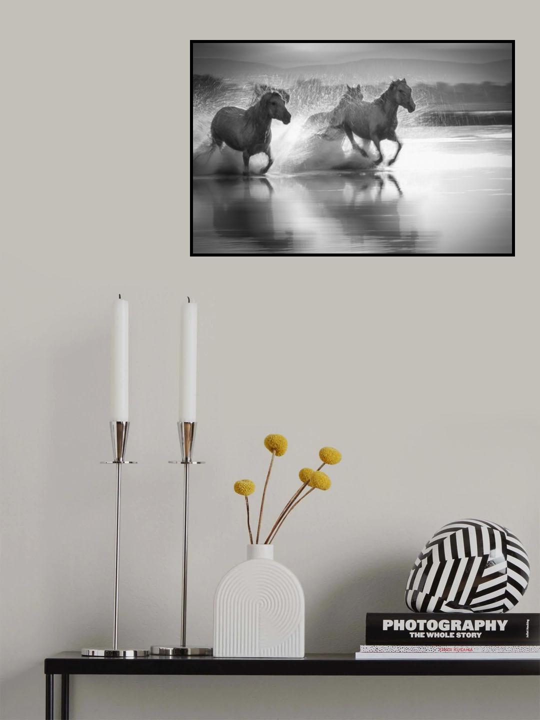 Splash water around Poster och Canvastavla