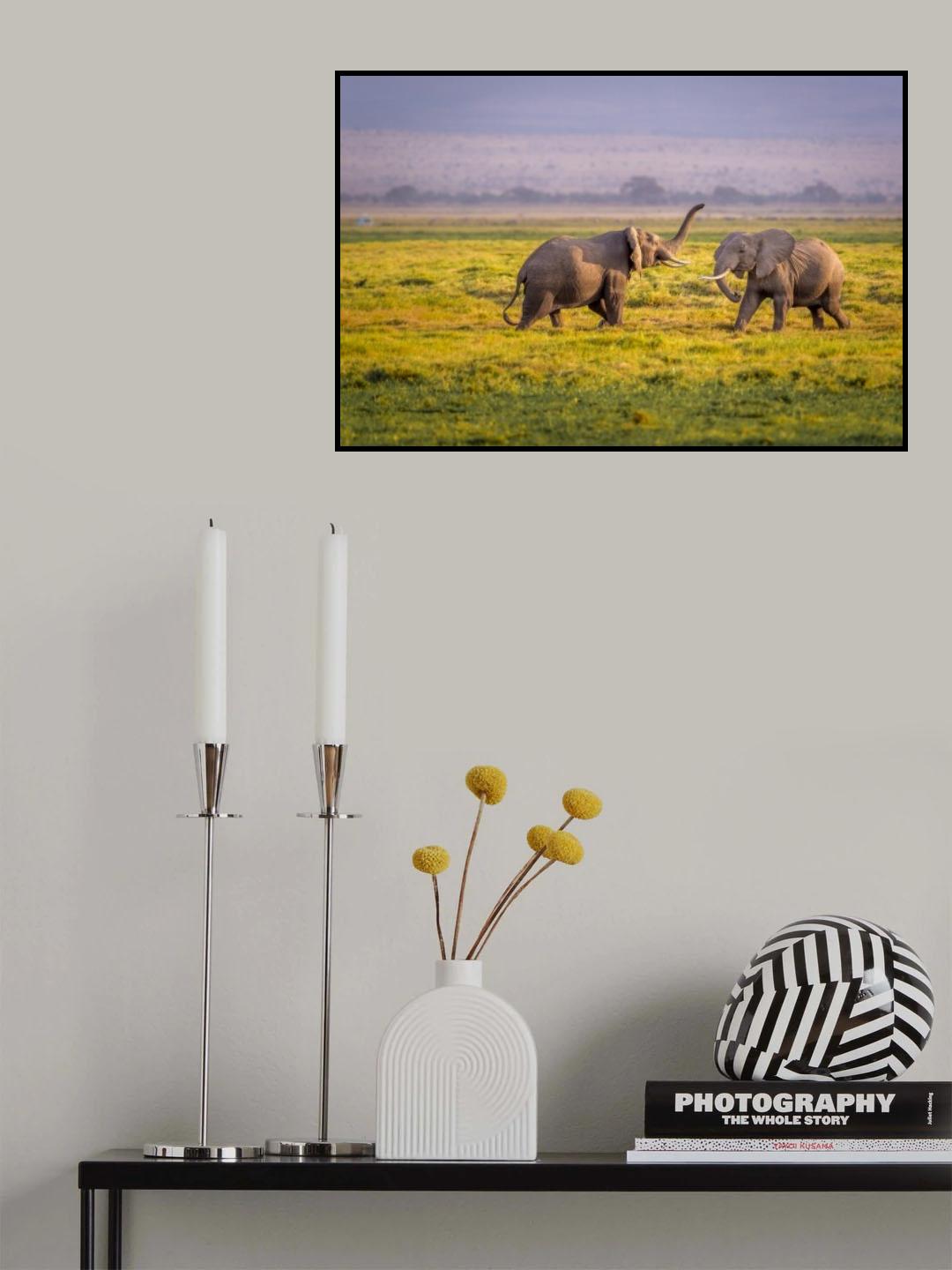 I'll Teach You Poster och Canvastavla