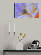 Stay at home... Poster och Canvastavla