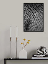 Elephant Study No2 Poster och Canvastavla